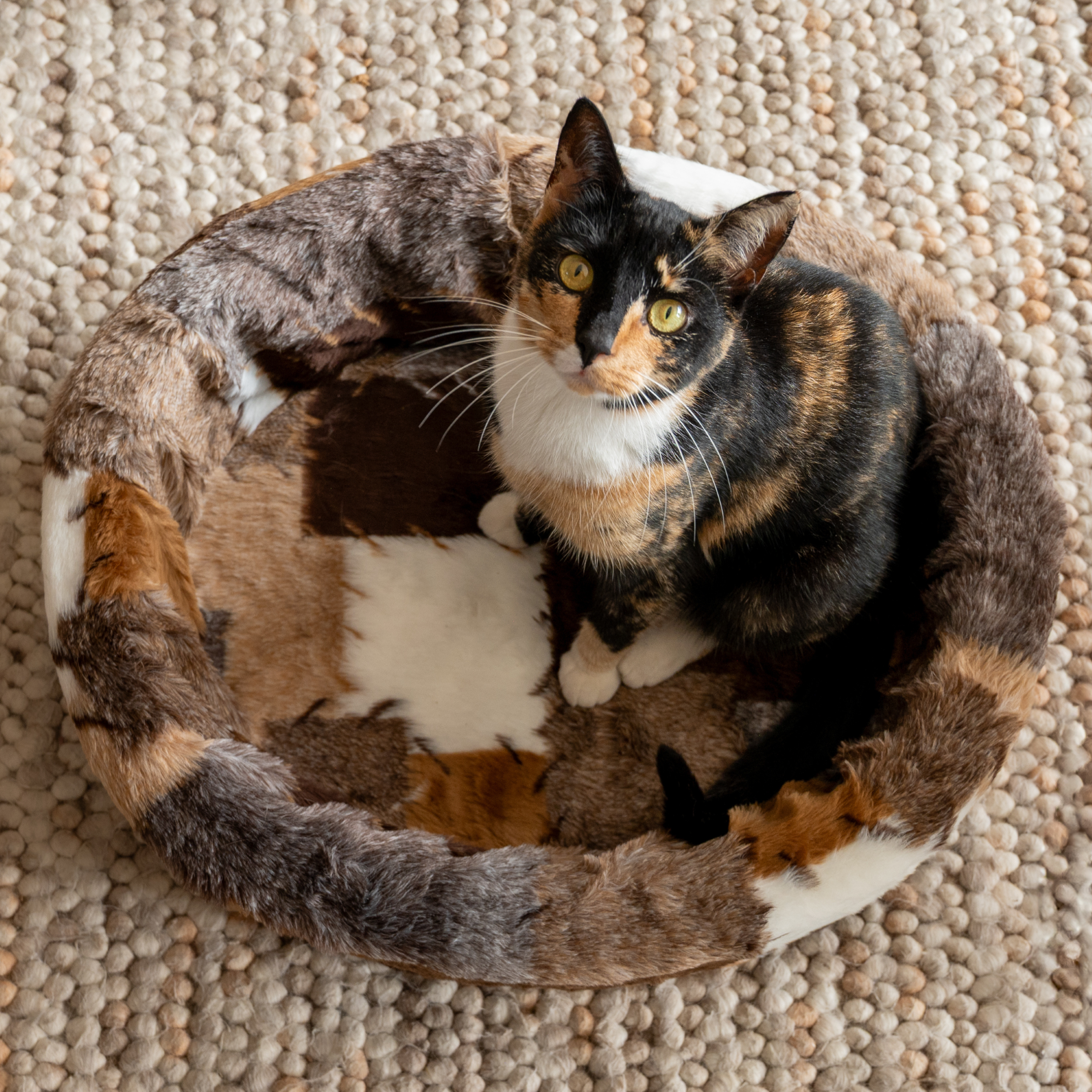 NapZZZ ovale honden- en kattenmand van imitatiebont, mixblok in bruintinten, met kat erin, zachte wasbare hoes