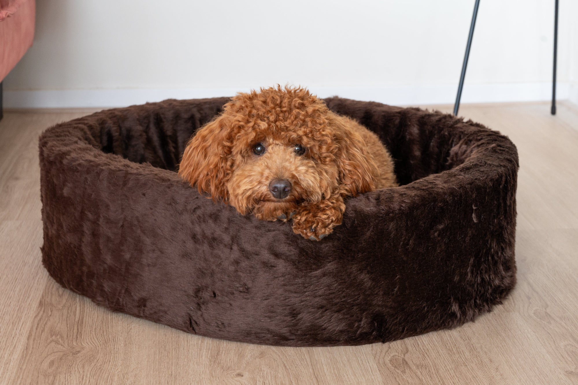 Huiselijke sfeerfoto van de NapZZZ ovale bontmand in effen donkerbruin.