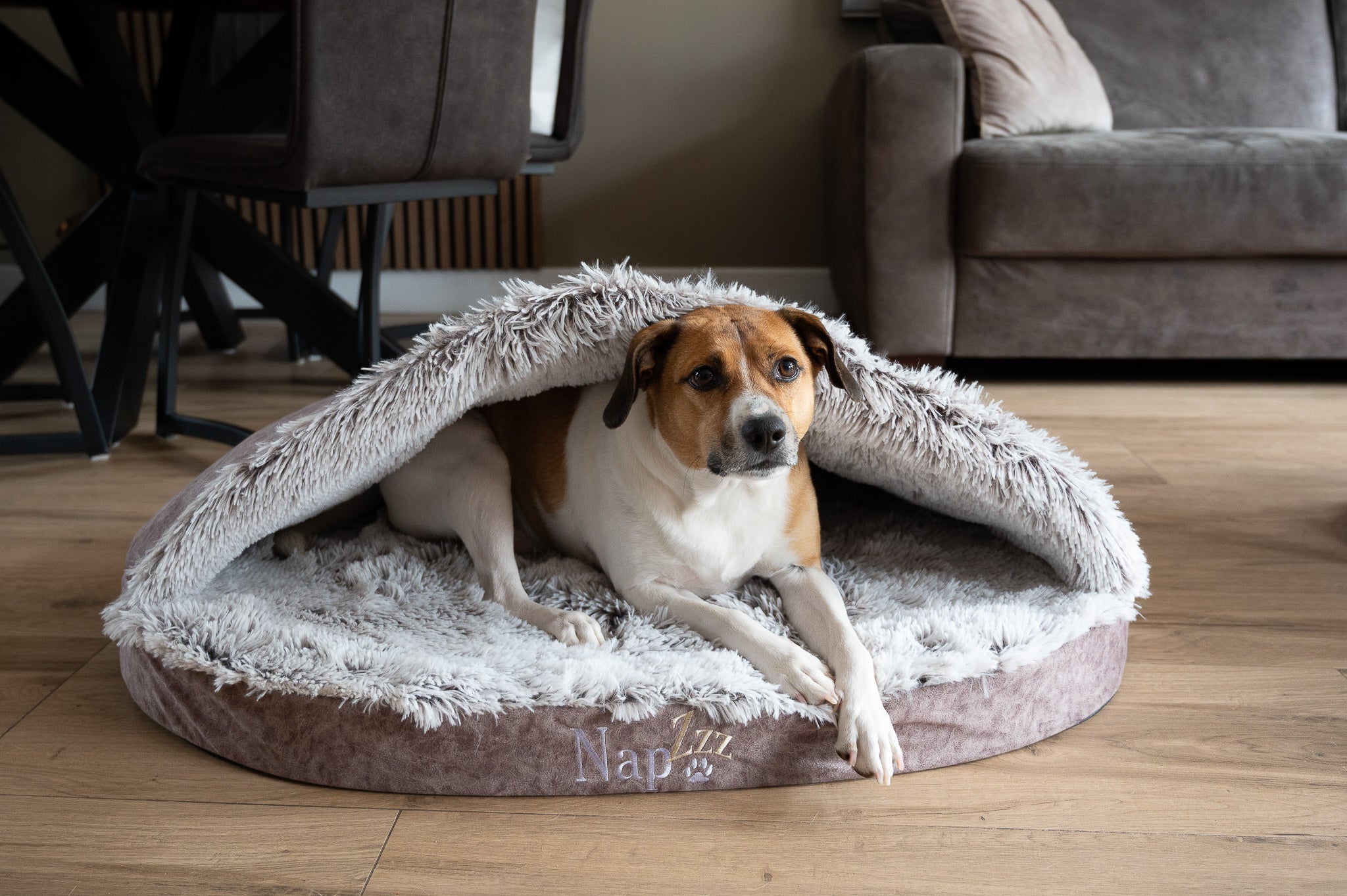 NapZZZ cave voor honden en katten, knusse en beschutte honden- en kattenmand