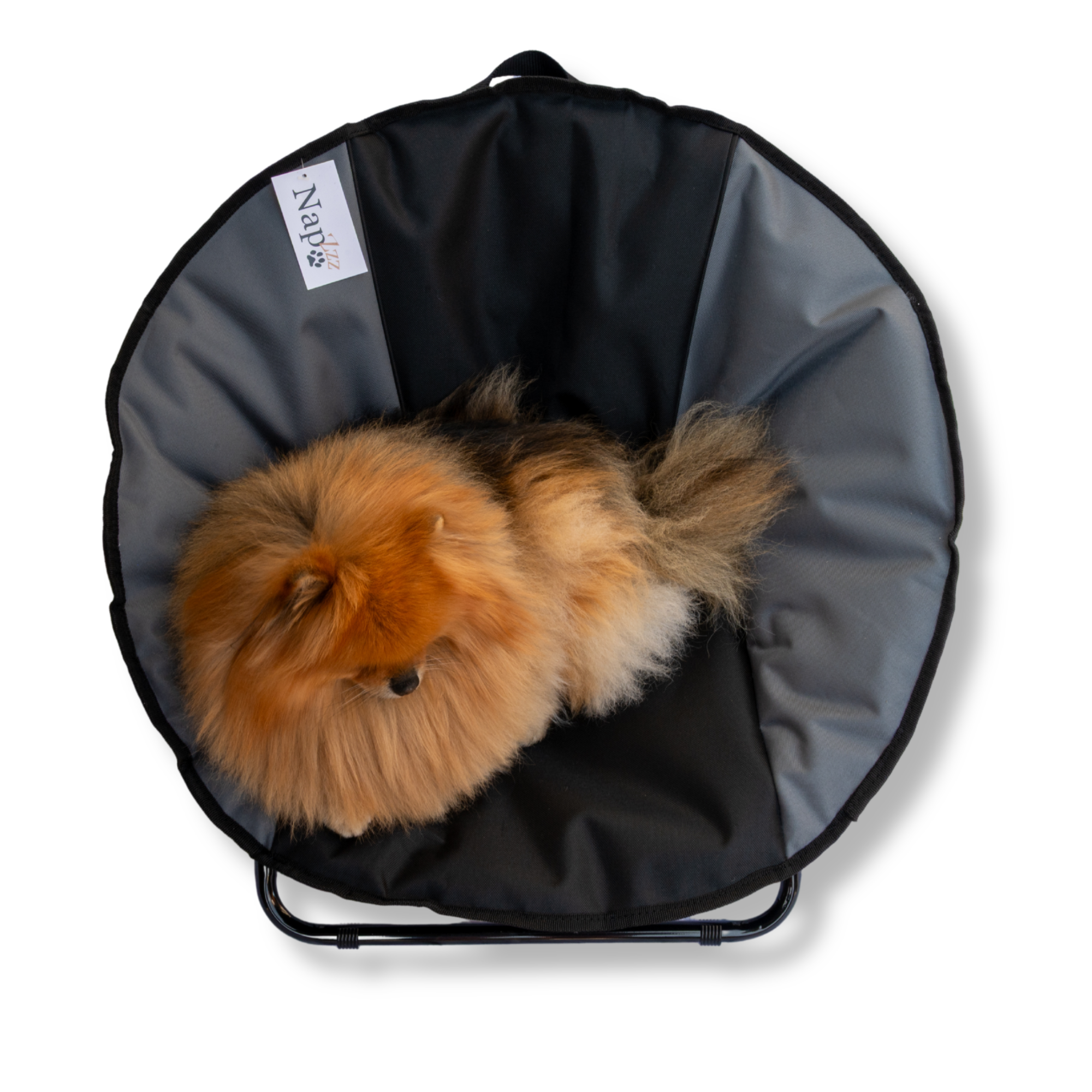 Napzzz stoel zwart grijs in bovenaanzicht met een liggend hondje, geschikt voor kleine huisdieren zoals hond of kat. Inklapbaar en voorzien van waterafstotende stof. Met metalen frame en anti slip details.