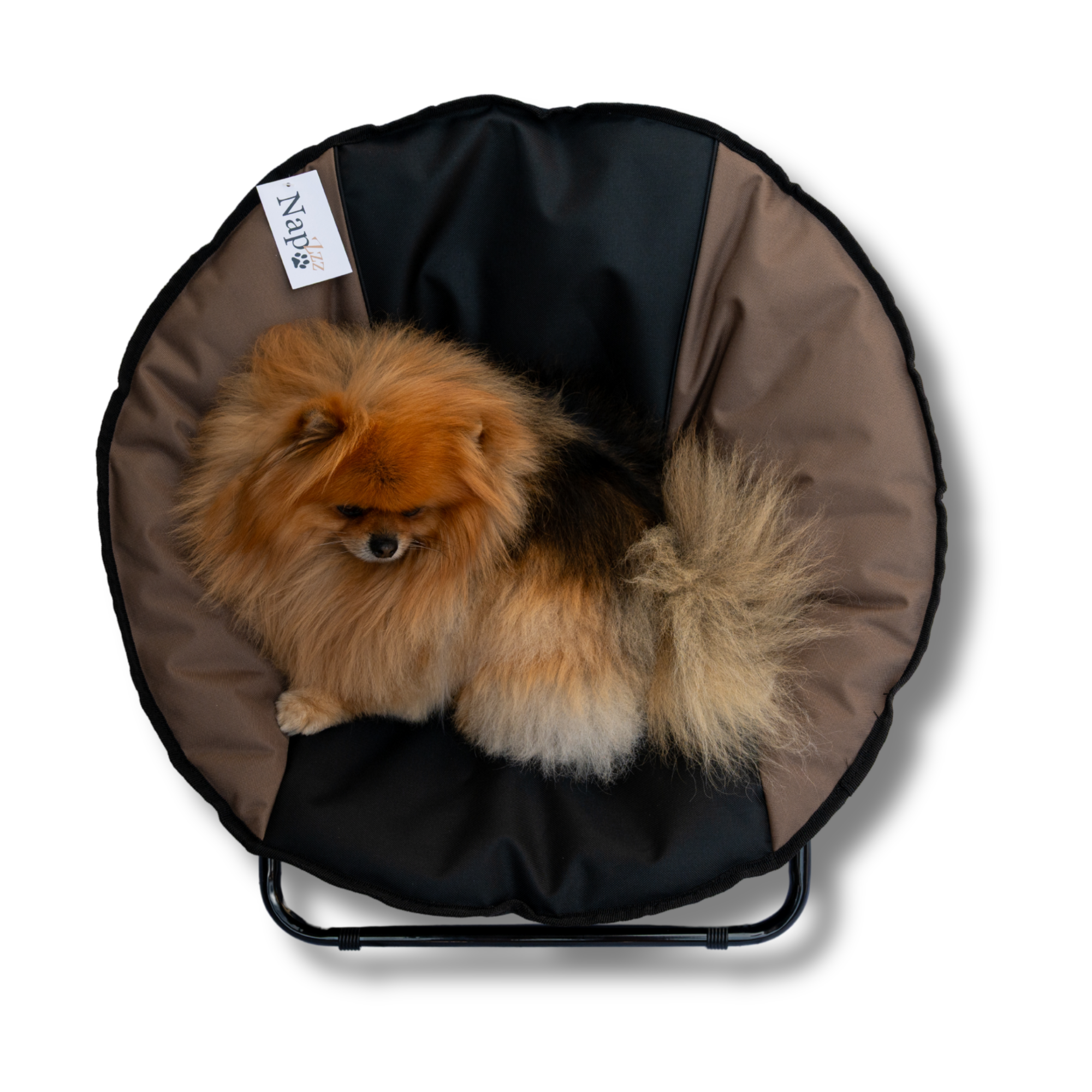 Napzzz stoel zwart taupe in bovenaanzicht met hondje, geschikt voor kleinere huisdieren zoals hond of kat. Inklapbaar en voorzien van waterafstotende stof. Met metalen frame en anti slip details.