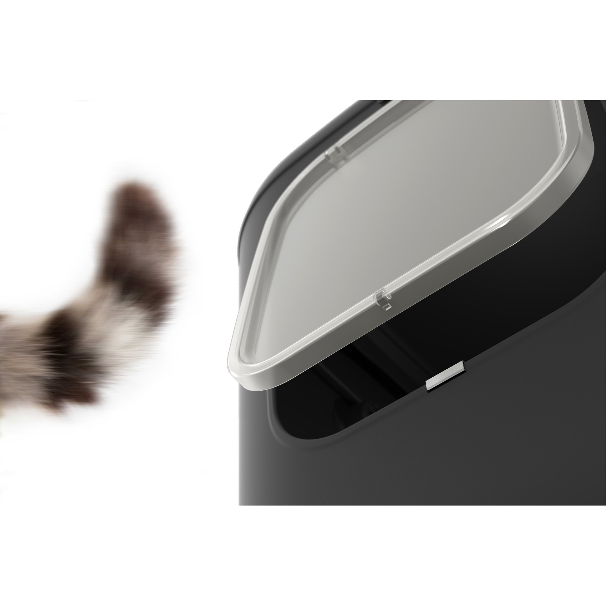 Biala XL kattentoilet in modern interieur, kat gebruikt ruime afgesloten bak.