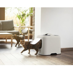 Biala Kattentoilet in Modern Interieur – Stijlvolle en Hygiënische Kattenbak