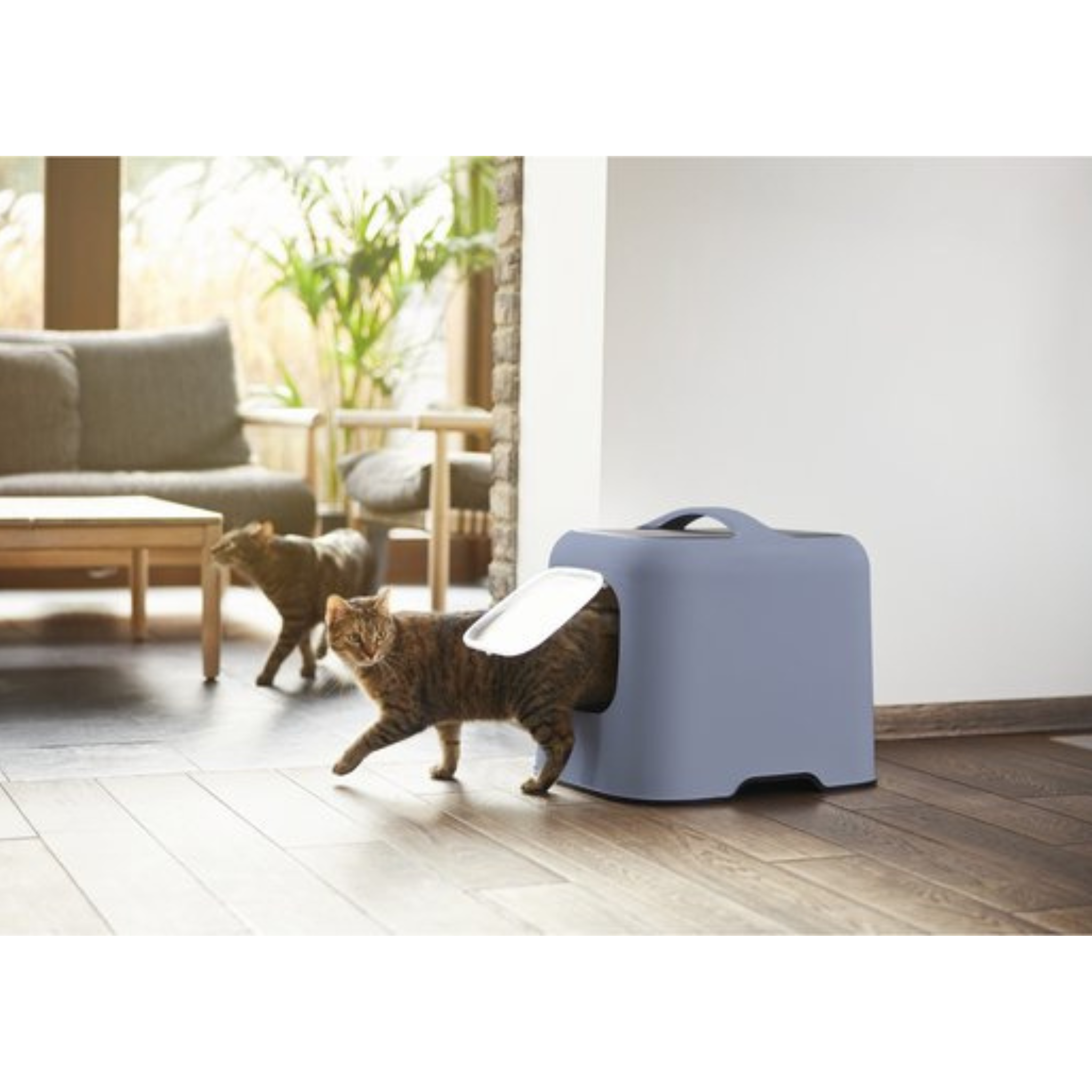 Biala Kattentoilet Hemelsblauw Sfeerfoto – Moderne Kattenbak in Fris Licht Interieur